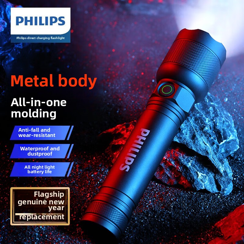 2025 NUOVA Philips SFL2188 Tor - Outdoor Lighting Fixtures recensione e prezzo