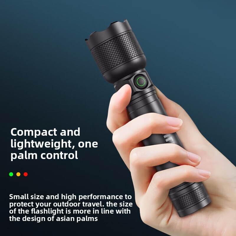 2025 NUOVA Philips SFL2188 Tor - Outdoor Lighting Fixtures recensione e prezzo